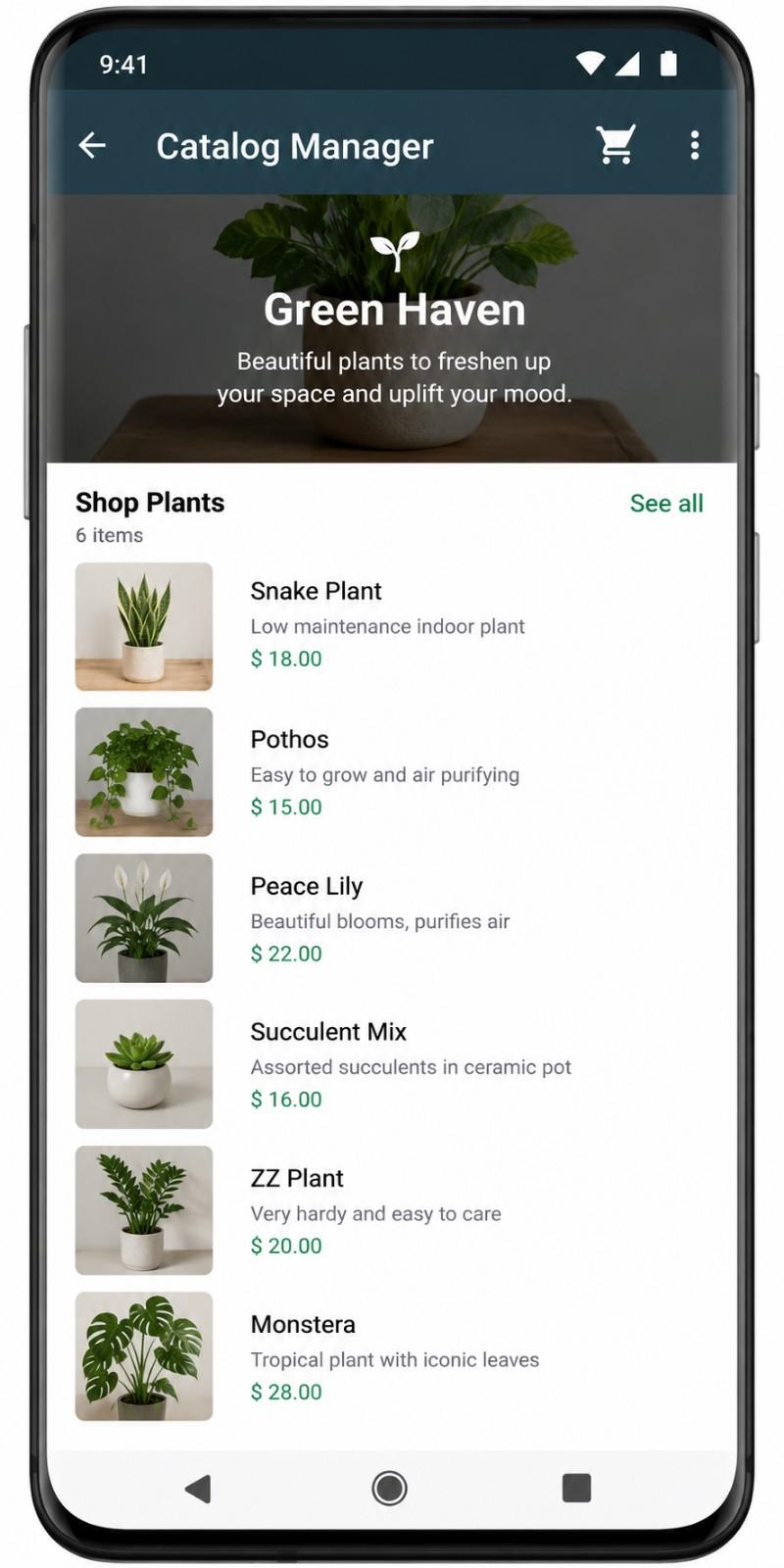 Roklo.ai_WhatsApp Catalog